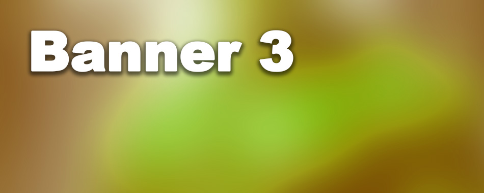 banner_3.jpg